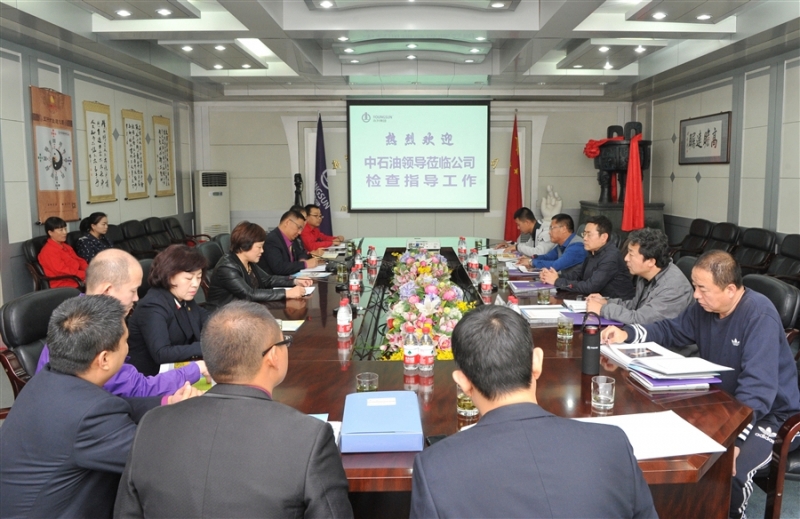 集团公司电力电工设备顺利通过中石油一级供应商现场考察